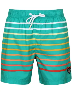 Freemason Ombre Striped Swim Shorts in Veridis Green - South Shore