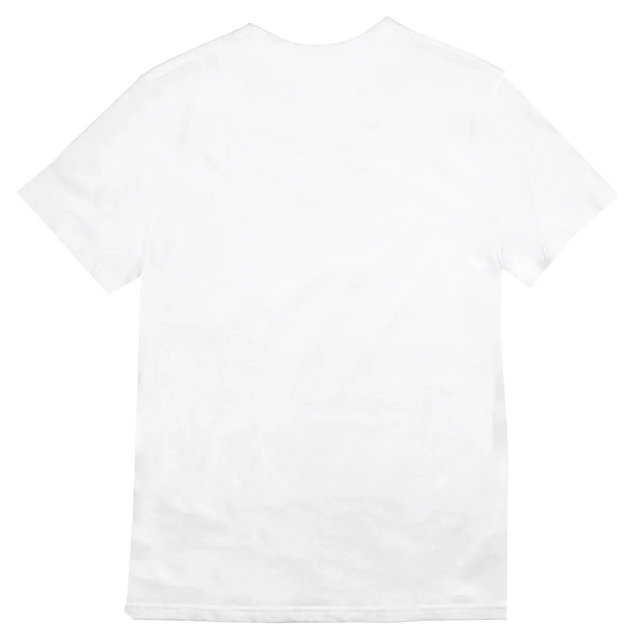 Polo US ASSN Crew Neck T-Shirt White